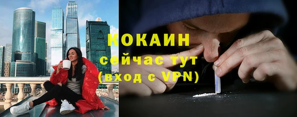 прущая мука Ельня