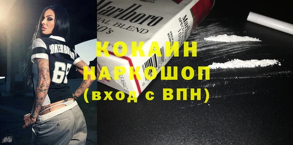 прущая мука Ельня