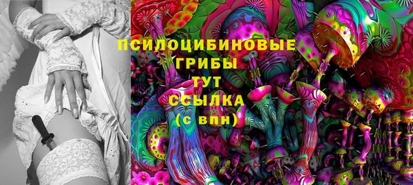 спайс Елабуга