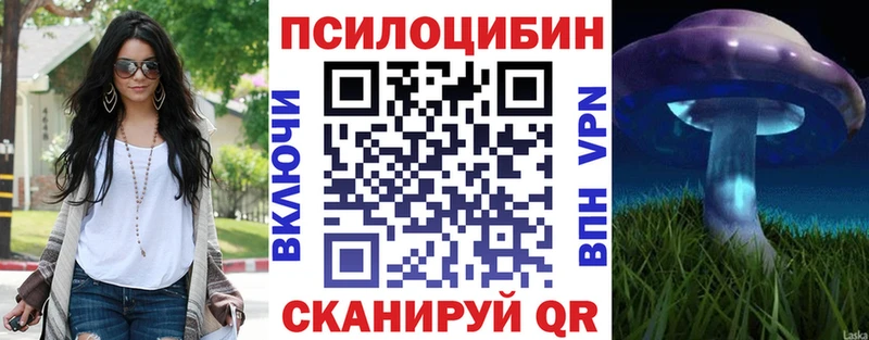 Псилоцибиновые грибы GOLDEN TEACHER  Купить  Шумиха 